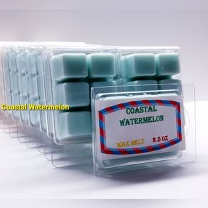 COASTAL WATERMELON -Bath & Body Works Candle Wax Melts- $8 per pack